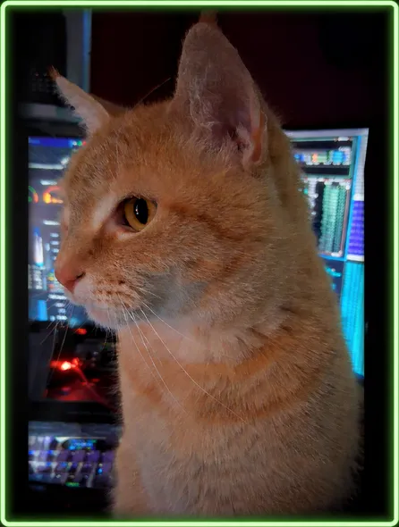 Simba